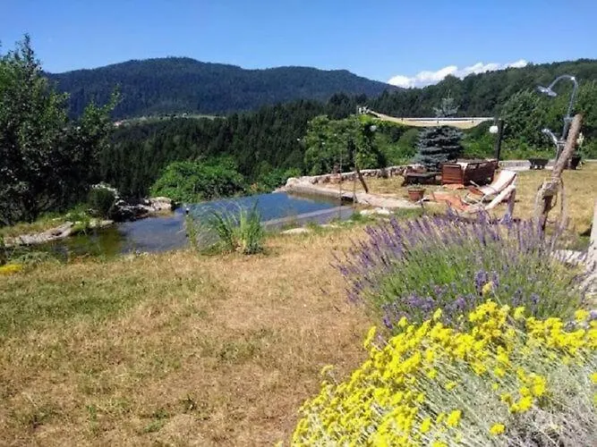 Comfy Holiday Home In Bunjevci With Hot Tub ヴルボヴスコ