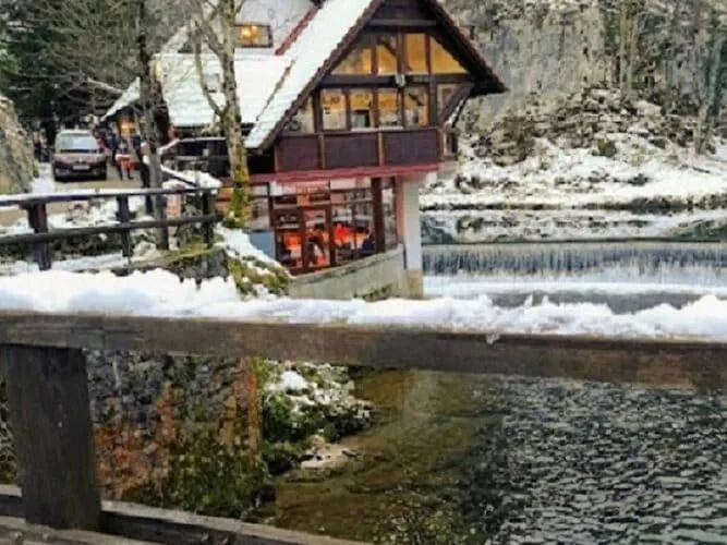 Comfy Holiday Home In Bunjevci With Hot Tub ヴルボヴスコ